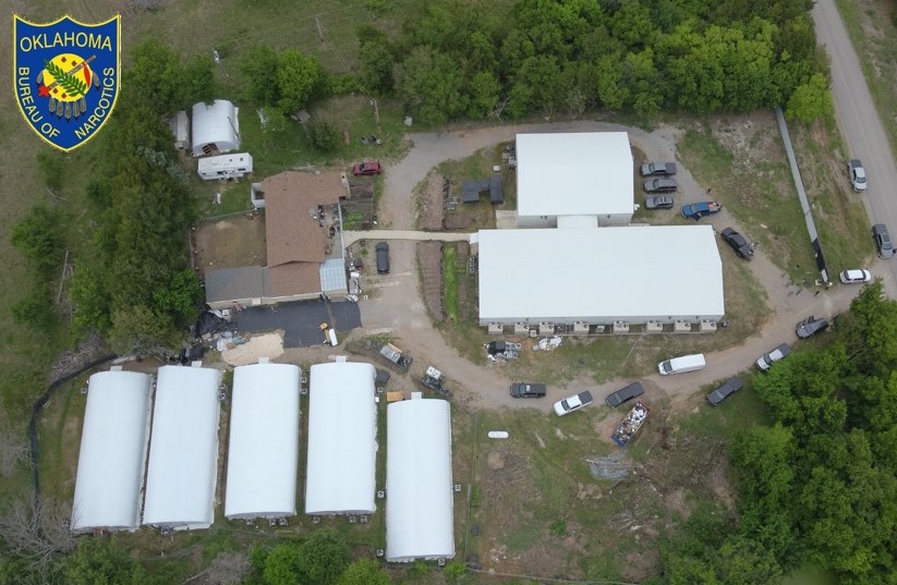 Nearly 9,000 Marijuana Plants Seized in Wynnewood Raid, Investigation Ongoing